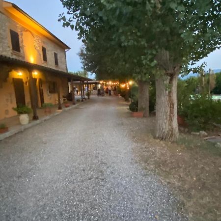 Podere Ripabianca Riparbella Eksteriør bilde