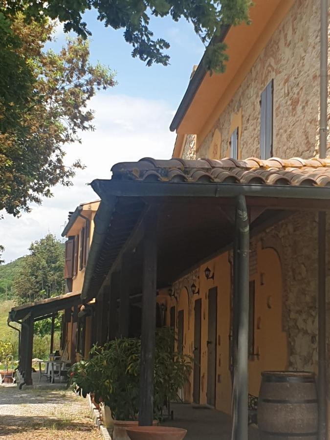 Podere Ripabianca Riparbella Eksteriør bilde