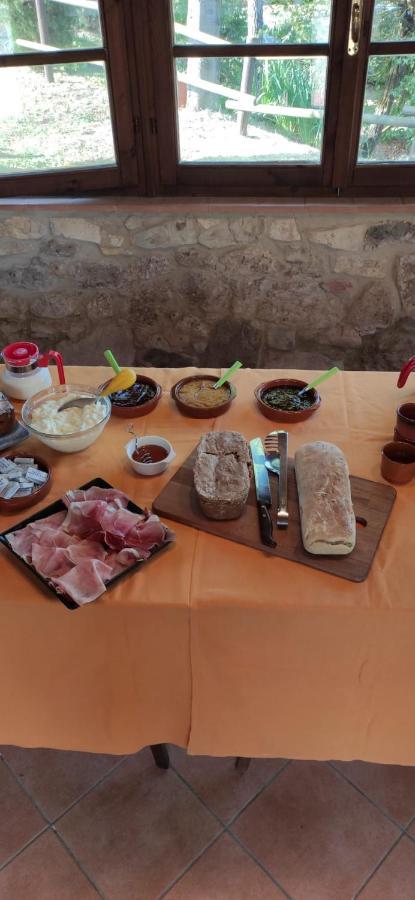 Podere Ripabianca Riparbella Eksteriør bilde